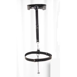 Postroj s kovovým hákem a pouty - černý