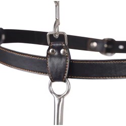 Postroj s kovovým hákem a pouty - černý