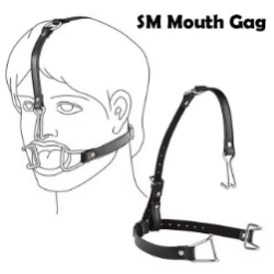 Roubík - oral and nose hook